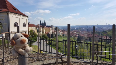 Parmesolino recomenda!