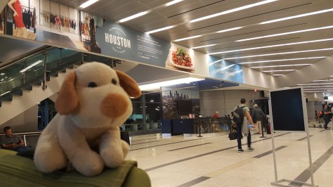 Parmesolino recomenda!