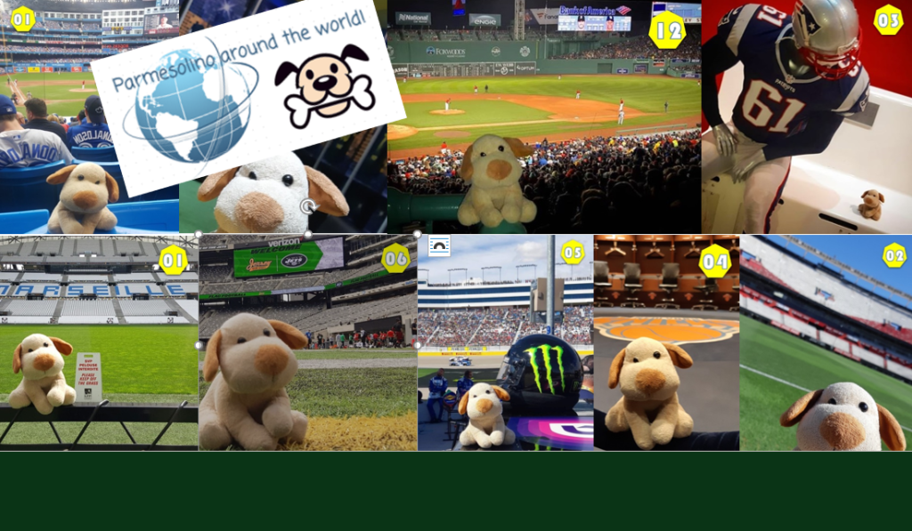 QUIZ: onde está nosso&nbsp;mascote?